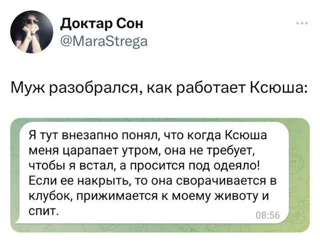 Текст сообщения отображается в виде стандартного «пузыря» переписки. — автор поста @MaraStrega, Ксюша (кошка)