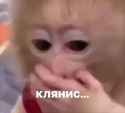Клянись, что это правда