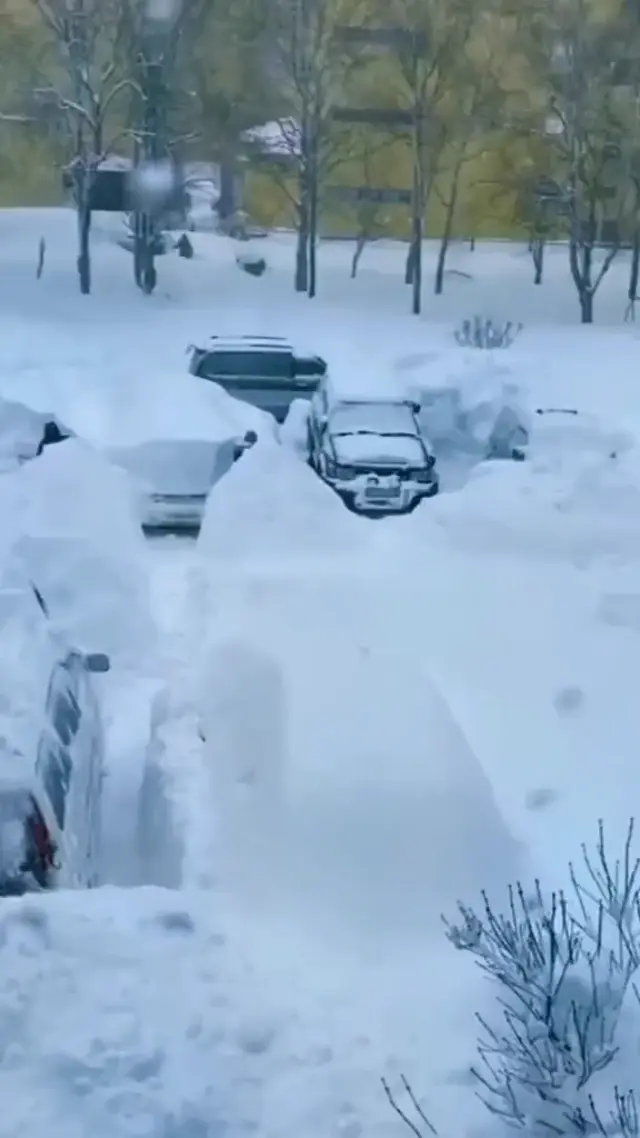 Мне сегодня весело с самого утра