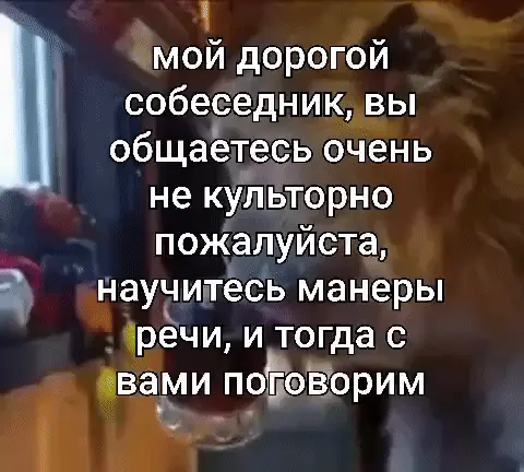 Мой дорогой собеседник, вы общаетесь очень не культурно