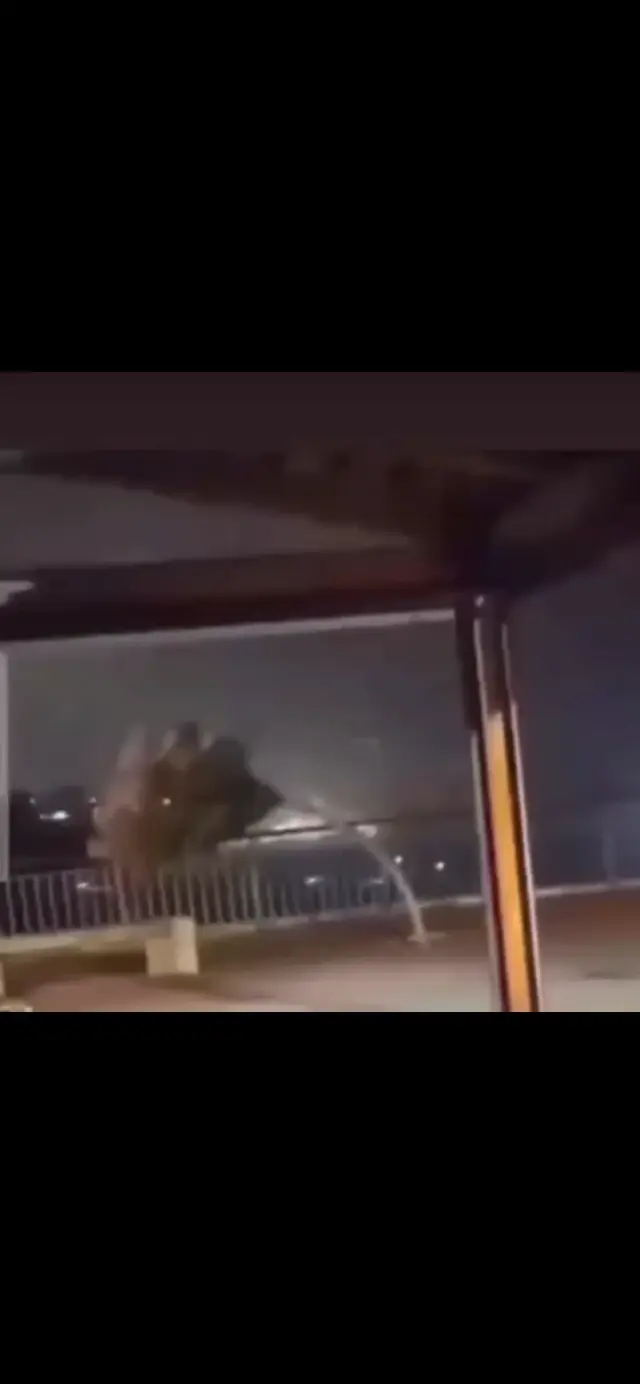 Порыв сильного ветра сгибает небольшое дерево практически до земли, а затем оно снова распрямляется под порывами.
