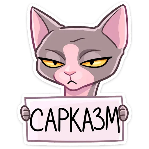 Кот с недовольным и скептичным выражением морды держит перед собой табличку с надписью — мультяшный кот сфинкс