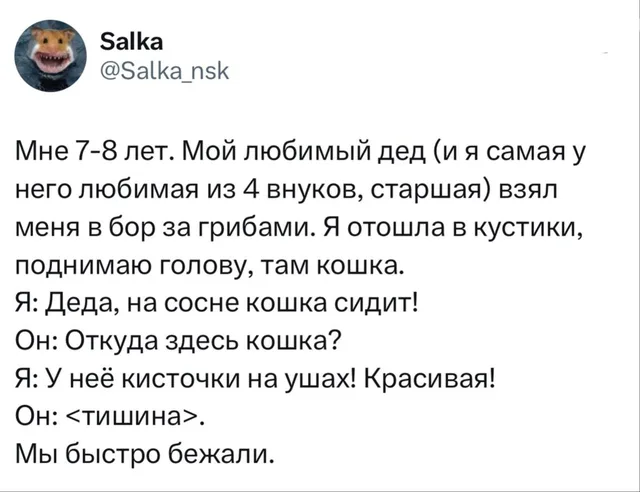 Кошка с кисточками на ушах