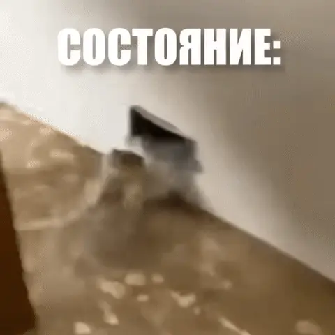 Состояние: жаба в потоке воды