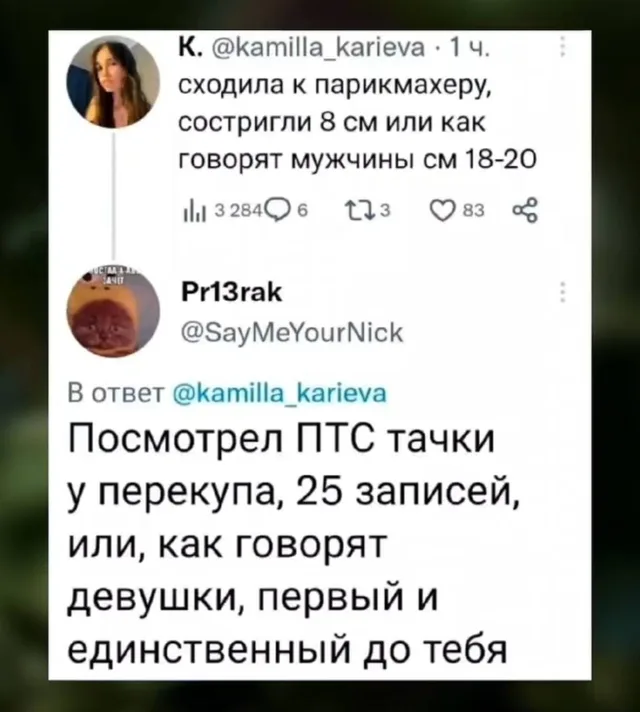 Текст поста и ответ на него, расположенные друг под другом. — автор поста @kamilla_karieva, автор ответа @SayMeYourNick