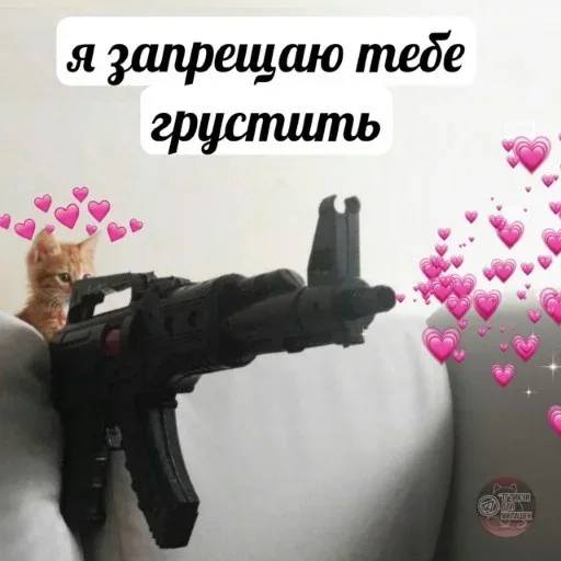Котенок «целится» из игрушечного автомата в камеру. — рыжий котенок