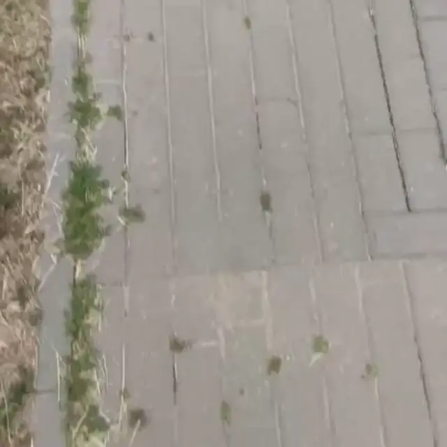 На заре голоса зовут меня