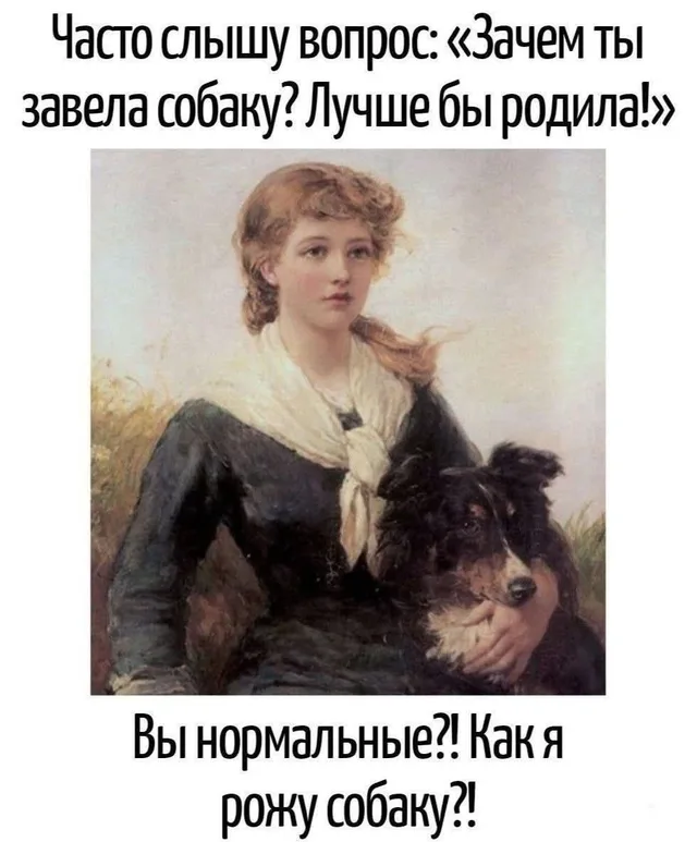 Статичное изображение, девушка держит собаку на руках. — девушка с собакой