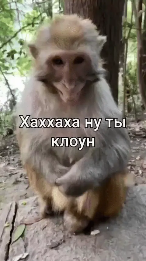 Хаххаха ну ты клоун