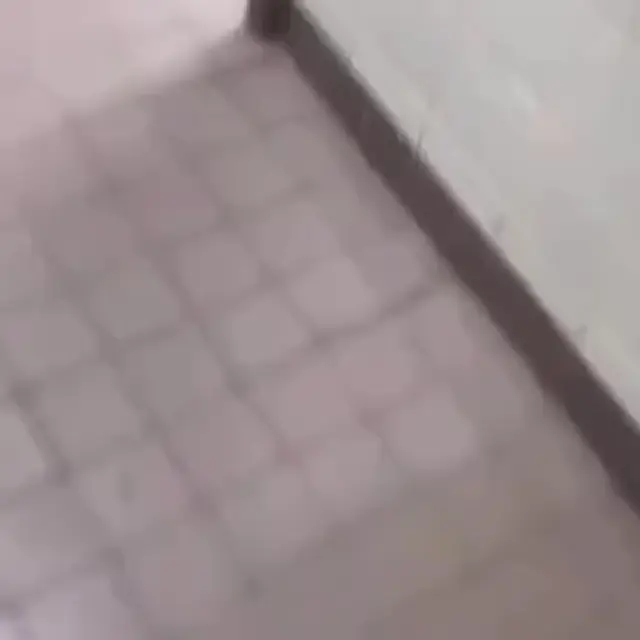 Гигантский сюрприз в туалете