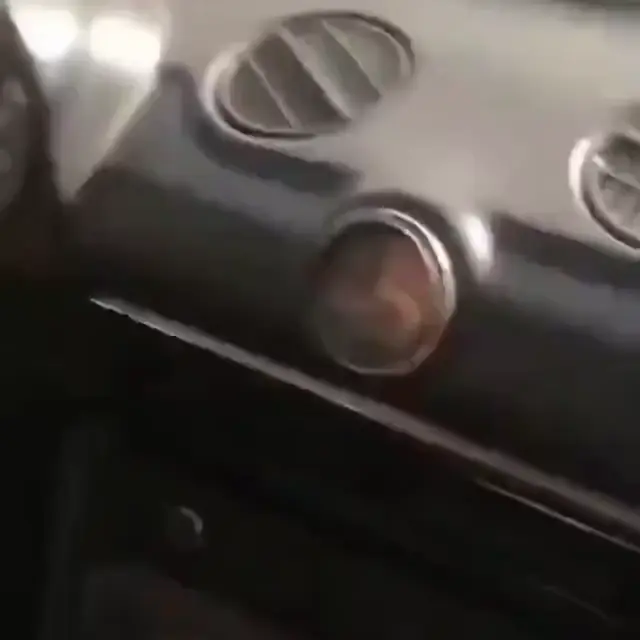 Скорость — это страсть, когда за рулём кот