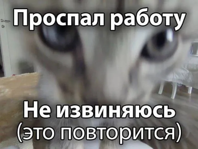 Проспал работу и не извиняюсь