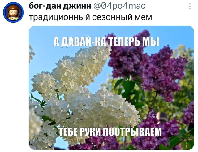 А давай-ка теперь мы тебе руки поотрываем