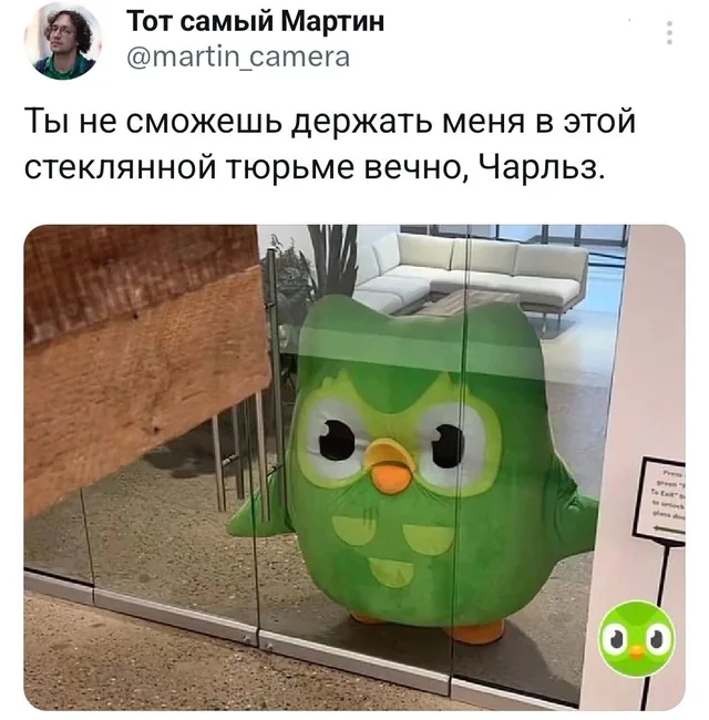 Ростовая кукла совы стоит за прозрачной стеклянной перегородкой, глядя в сторону камеры.