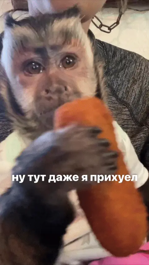 Ну тут даже я прихуел