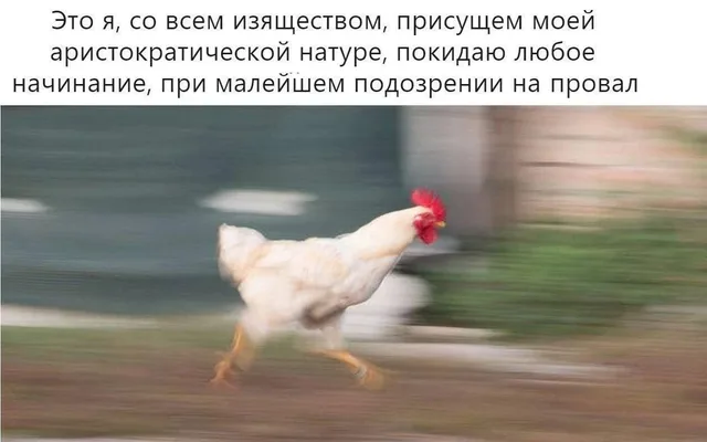 Белая курица быстро бежит вправо, фон сильно размыт, создавая эффект высокой скорости