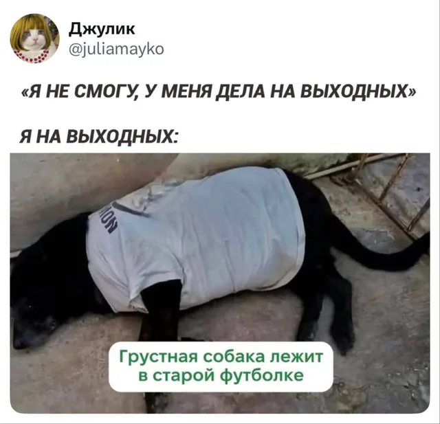 Я не смогу, у меня дела на выходных