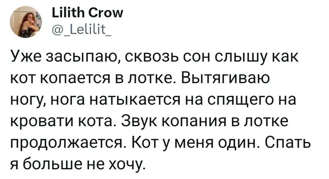 Текст статично отображен на белом фоне. — автор поста Lilith Crow