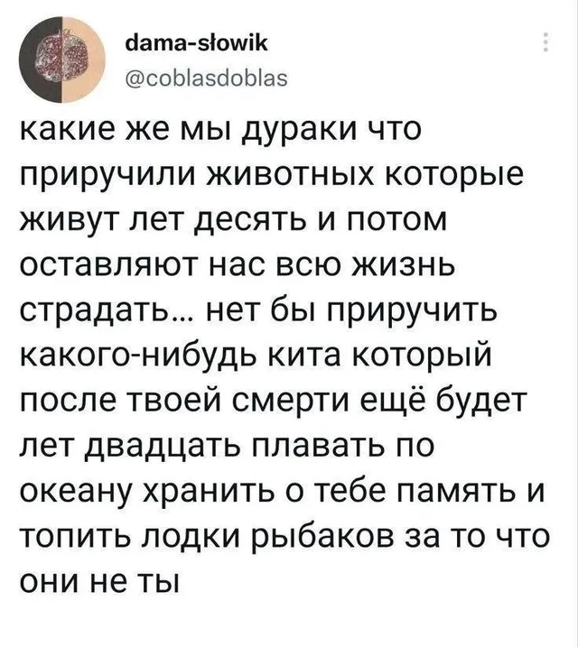 Скриншот твита с длинным текстом на белом фоне — Автор твита