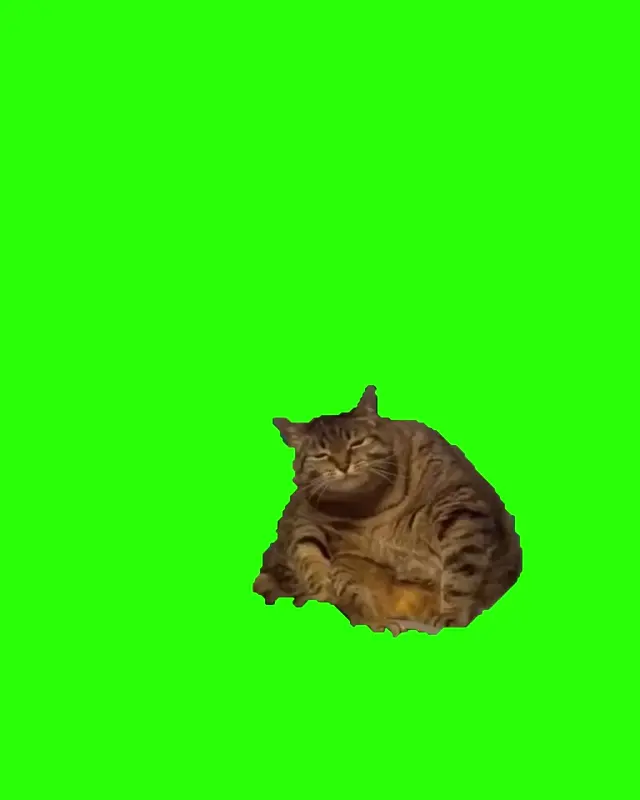 Котлету будешь? Кот на хромакее