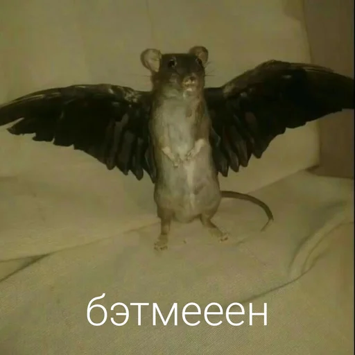 Бэтмен на минималках