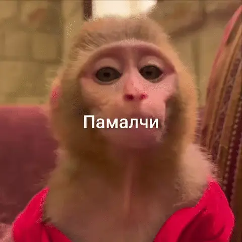 Обезьянка говорит памалчи