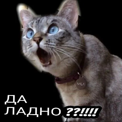 Да ладно??!!!!