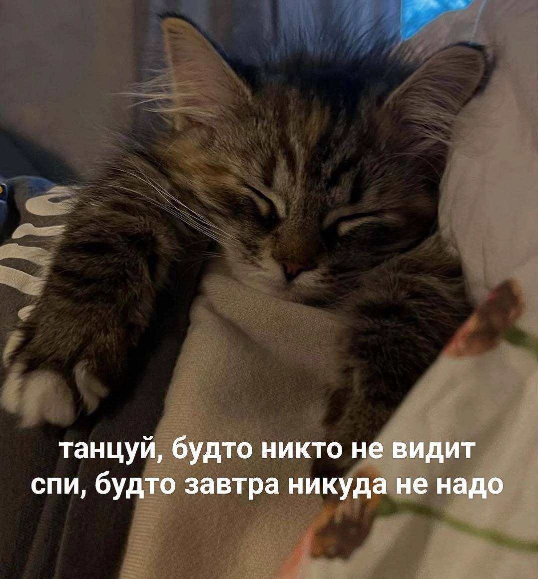 Спи, будто завтра никуда не надо
