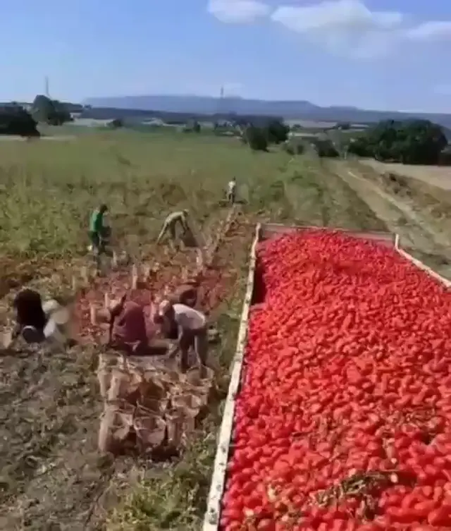 Эй, мистер Джордж, сколько мы платим новенькому?