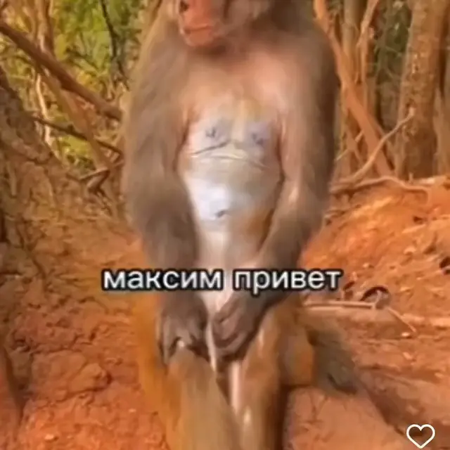 Эта Степина мама, это что значит пупсик?