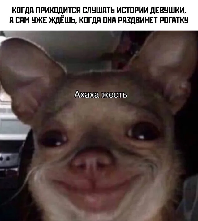 Статичное изображение.