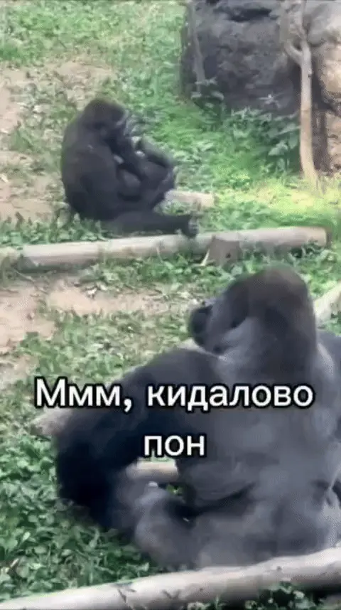 Ммм, кидалово пон