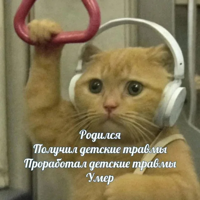 Рыжий кот в белых наушниках держится одной лапой за розовый поручень в транспорте и смотрит прямо перед собой с невозмутимым выражением морд