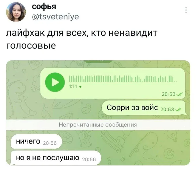 Статичное изображение переписки: отправлено голосовое сообщение длительностью 1:11, следом извинение за него, а затем ответ «ничего, но я не