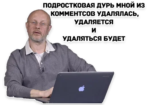 Статичное изображение, персонаж сидит за ноутбуком. — Дмитрий Пучков