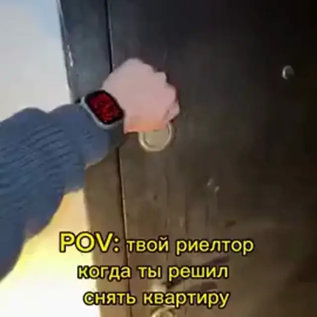 Твой риелтор, когда ты решил снять квартиру