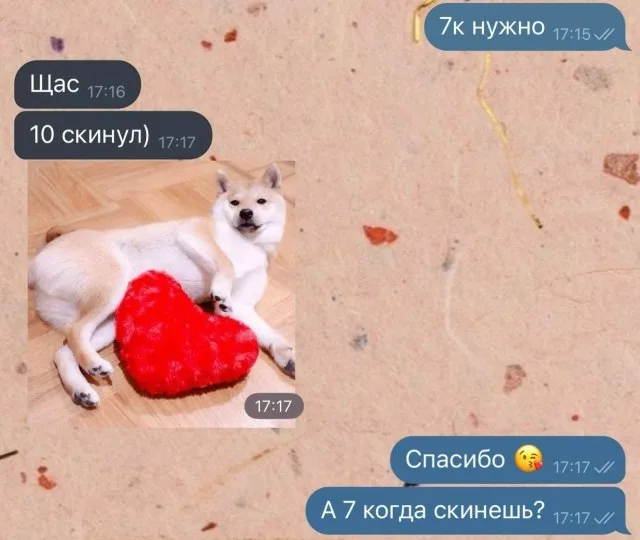 Собеседник отправляет сообщение с числом 10 и картинкой собаки, после чего получает уточняющий вопрос про оставшиеся 7. — собака породы сиба