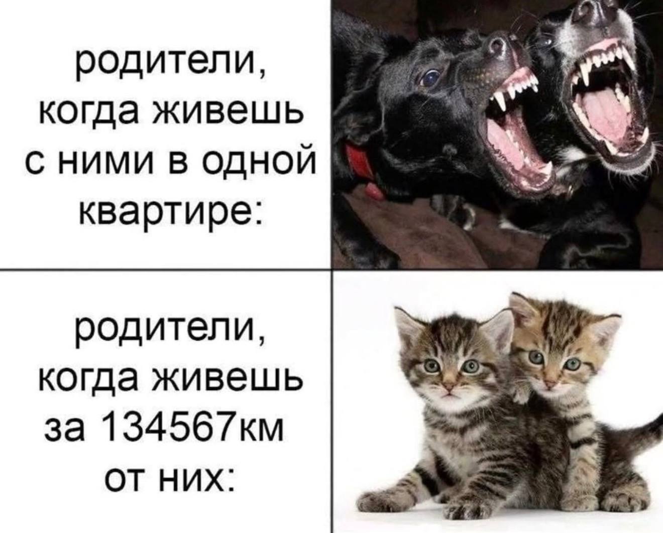 Родители: когда живешь рядом и когда далеко