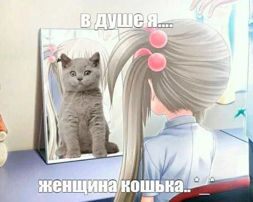 Девушка смотрит в зеркало, где вместо неё отображается кот. — аниме-девушка, серый британский кот