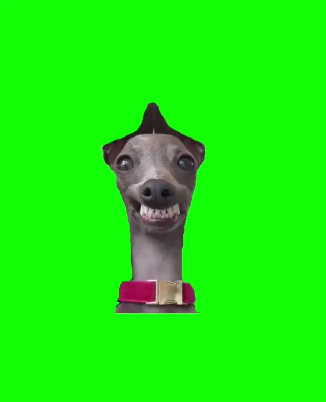 Я улыбаюсь этому миру