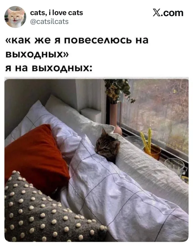 Как же я повеселюсь на выходных