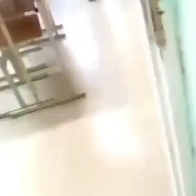 Ну что ты собака дурная
