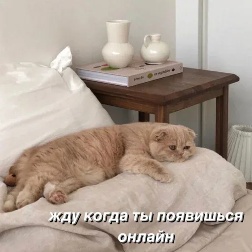Кот неподвижно лежит на боку, вытянув лапы — вислоухий рыжий кот