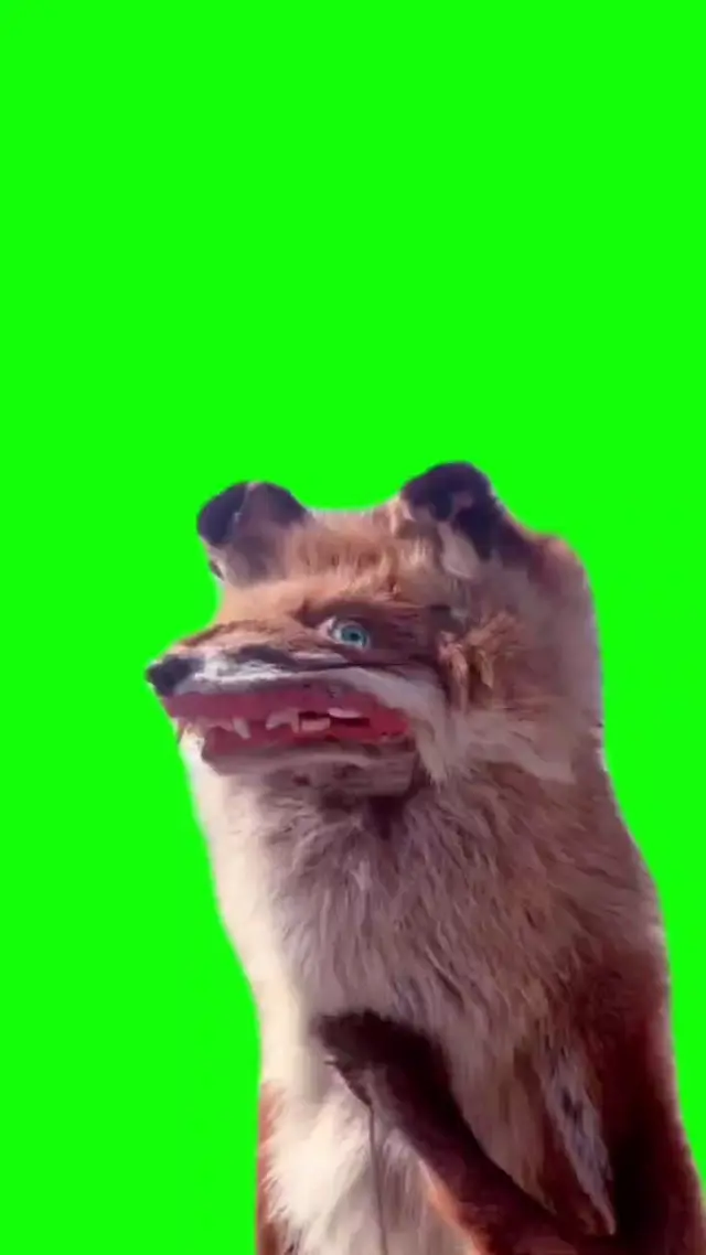 Упоротый лис на хромакее
