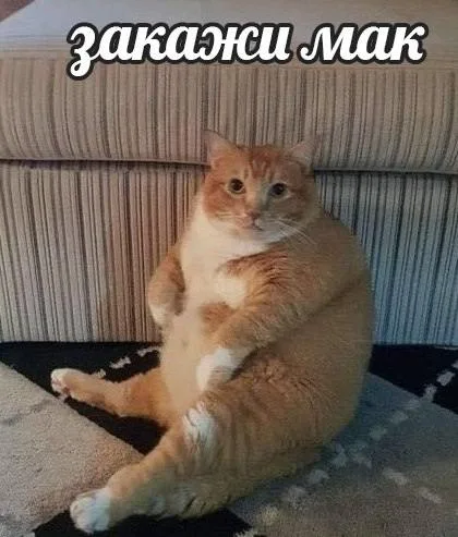 Закажи мак
