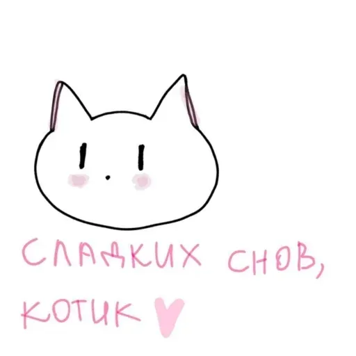 Статичная картинка: схематично нарисованная мордочка кота с румянцем и рукописная надпись розовым цветом — Нарисованный белый кот