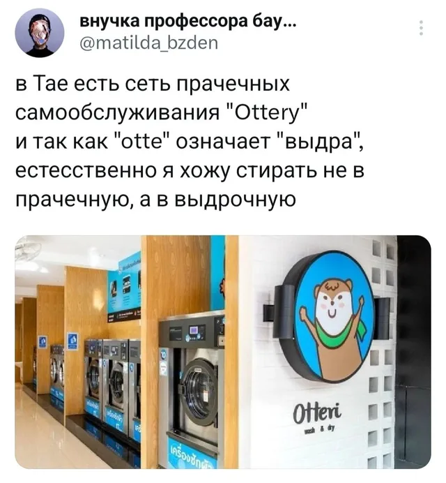 Статичное изображение: текст твита сверху, фото прачечной с логотипом выдры снизу. — автор поста @matilda_bzden