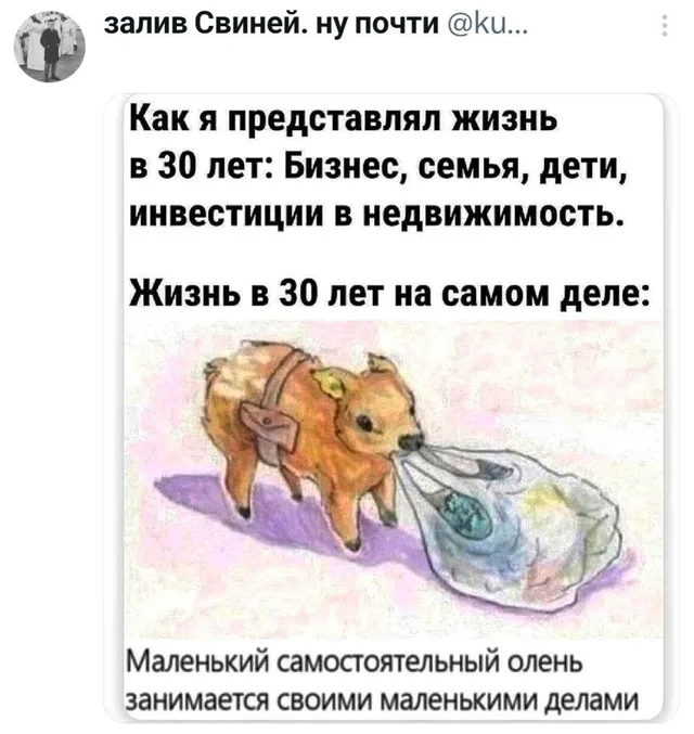 Маленький самостоятельный олень занимается своими маленькими делами