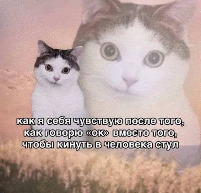 Как я себя чувствую после «ок»