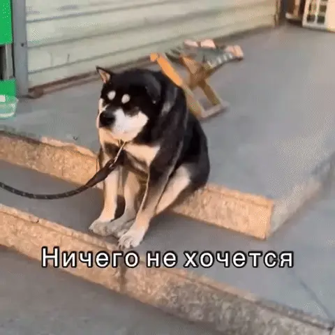 Ничего не хочется
